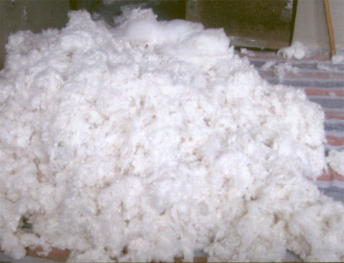 Fabric of cotton